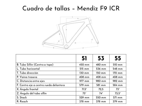 Bicicleta Mendiz F9 2023 Shimano 105 Di2 - Verde Inglés
